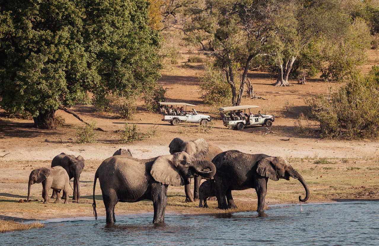 Community craft and tourism supply chains